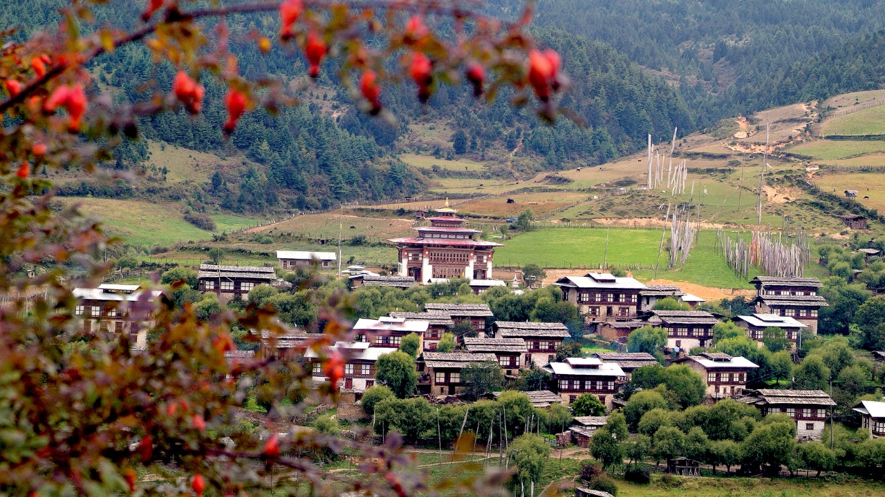 Open Research and Development Firm in Bhutan